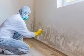 Mold Remediation for Vacation Homes in Dandridge, TN